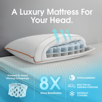 The Premium Duo Pillow by Dormeo® - $40 Off